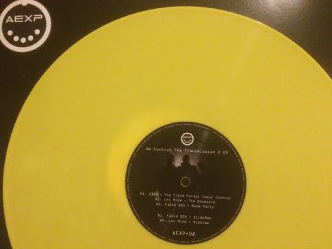 Analog Experience Records 02 - G303 + Lnt Mike + FaSid303 : We Control The Transmission EP 2