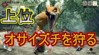 【MHRise】ヘビィボウガンにて上位オサイズチを楽しく狩る【モンハンライズ】