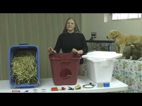 How to build a winter cat shelter | BC SPCA