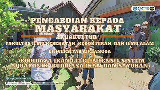 “Budidaya Ikan Lele” Intensif sistem Aquaponik (Budidaya Ikan dan Sayuran)