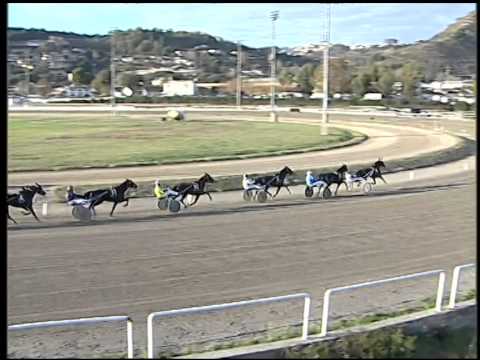 Trotto 13/11/2014 - 1° corsa