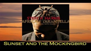 Duke Ellington: Sunset and the Mockingbird - Stefon Harris