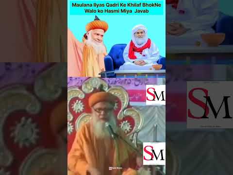 Hasmi Miya About Maulana Ilyas Qadri 🔥 #shortvideo