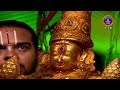 Sri Padmavathi Ammavari Vasanthotsavalu || Tiruchanoor || Day 01 || 22-05-2024 || SVBC TTD - Video