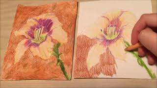 Library Drawing Party - Daylily with Julia