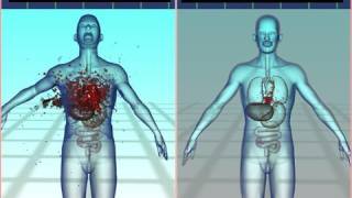 Hollow Point Bullets Recalled That Don&#39;t Explode In Targets