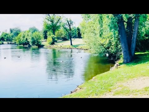 Beautiful Park in Frankfurt ! Rebstock Park in Frankfurt ! Fardina Youtuber
