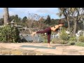 Manipura Surya Namaskara 