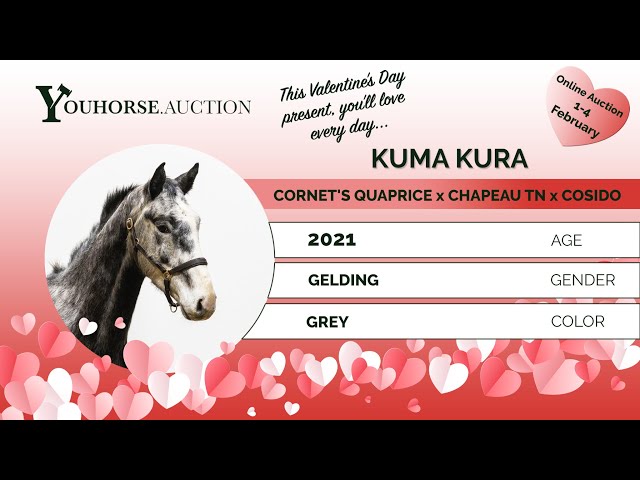 Kuma Kura