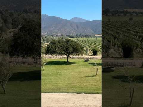 Casablanca Valley, Chile’s premier wine region 🍷 #Chile #Vineyard #Winery #travel #places #Andes