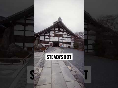 Active vs Steadyshot vs Gyro stabilisation #sonya7siii #sony #camera #videography #filmmaking #tips