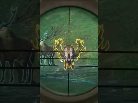 10-Fabled Texas Heart Shot | The Hunter Call Of The Wild