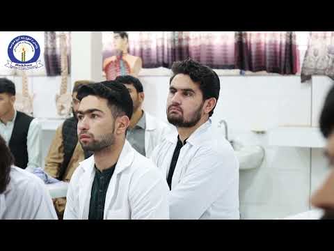 Teaching at Rokhan Institute of Higher Education