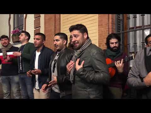 Chirigota del Sur (Pasodoble a Sevilla) - Sevilla (28/12/18)