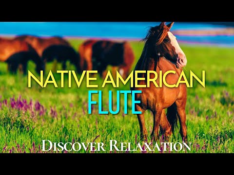 Majestic Wild Horses and Soothing Native American Flute Music, Relaxing Music, Calming Stress Relief