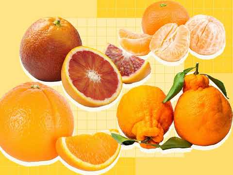 The Ultimate Guide to Oranges: Varieties, Seasonality, and How to Choose the Best