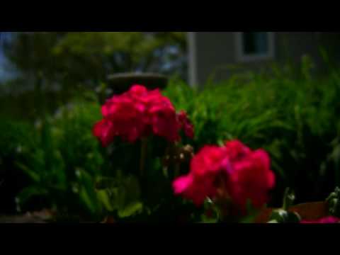 35mm Lens Adapter - Homebrew, Canon HF11  | HD |