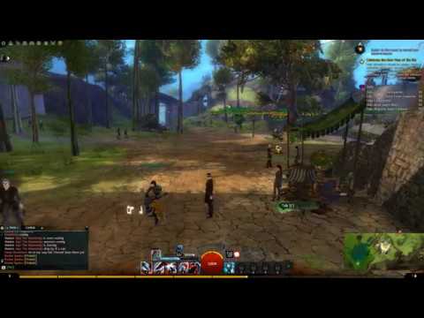 Some random seven nation army. | Guild wars 2