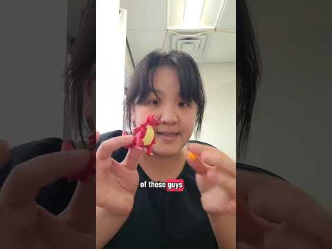 Sulfation Explained with Pokémon: Sulfur Sensitivity, Salicylates & H₂S SIBO | Detox Series (Extra)