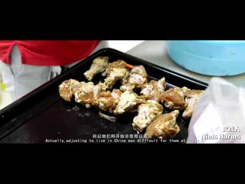 PENTA nLs：CFPL S10 - Player/Team Spotlight