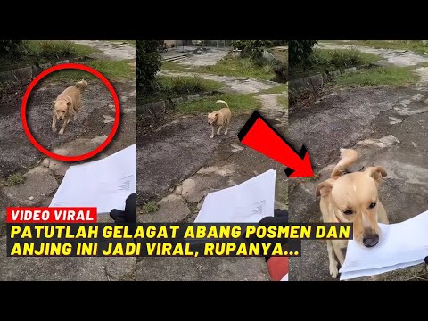 PATUTLAH GELAGAT ABANG POSMEN DAN ANJING NI JADI VIRAL, RUPANYA...