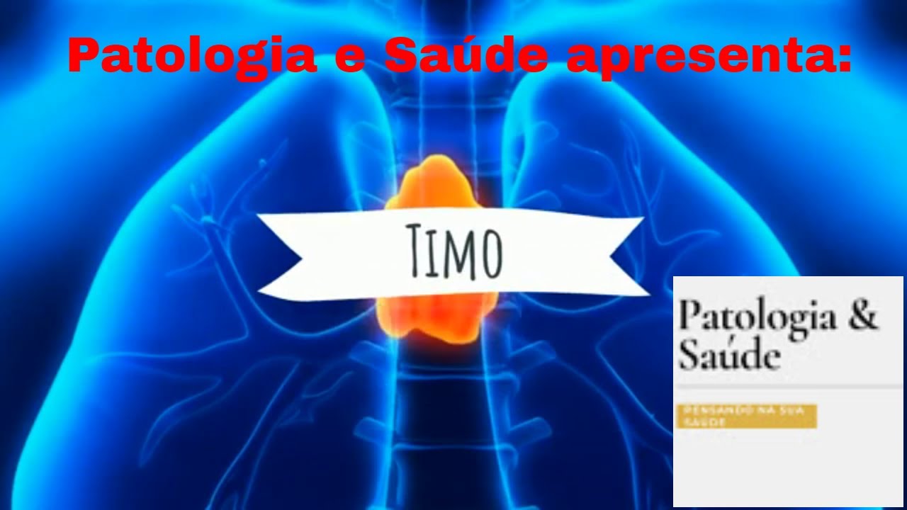 Histologia dos órgãos do Sistema Imune - Timo