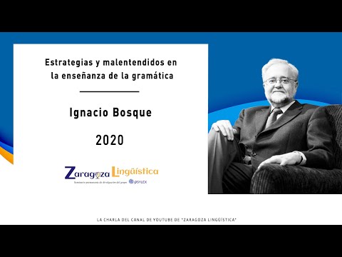 Estrategias y malentendidos en la enseñanza de la Gramática -  Ignacio Bosque