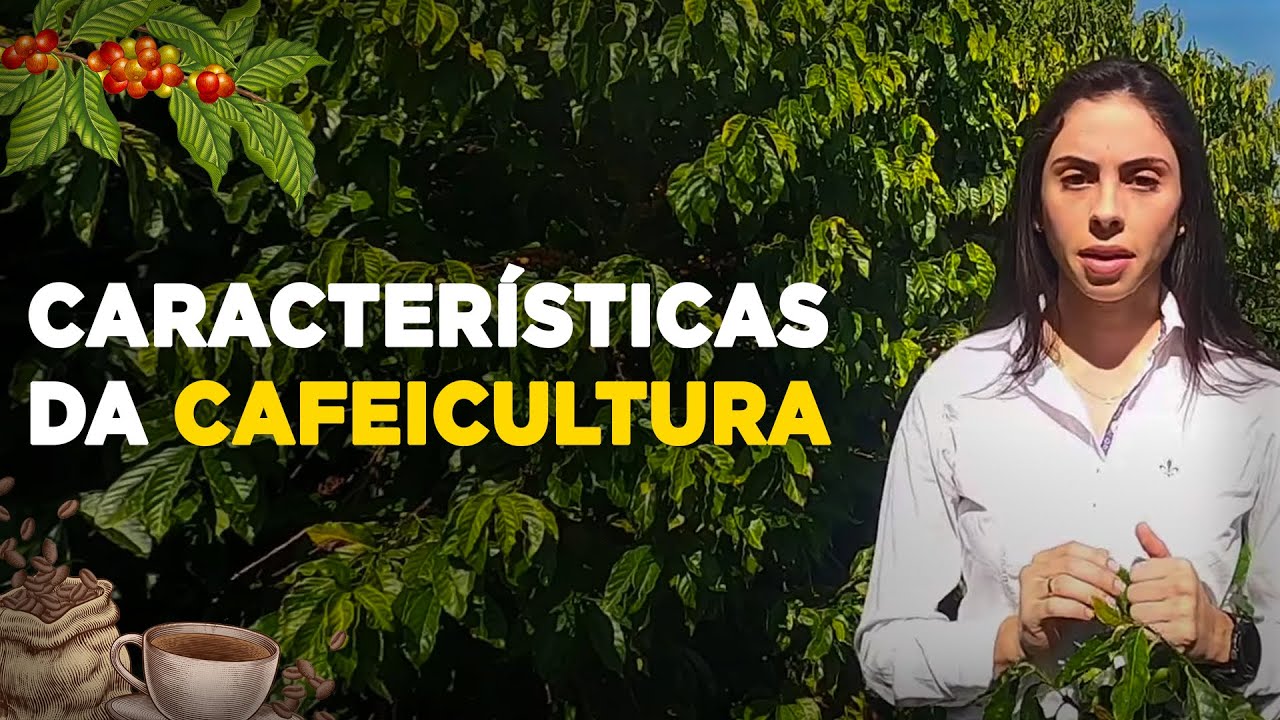 PRINCIPAIS ASPECTOS DA CAFEICULTURA