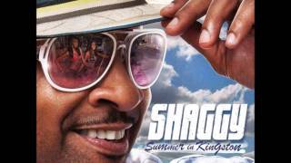 Shaggy ft Kat Deluna - Dame