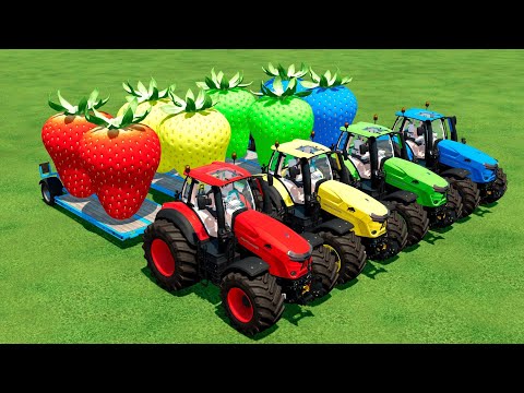 TRANSPORT GIANT COLORED STRAWBERRY WITH CLAAS TRACTORS - Farming Simulator 22