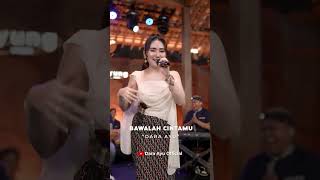 Download lagu Bawalah Cintamu - Dara Ayu - Full Video Di Channel YouTube Dara Ayu  mp3