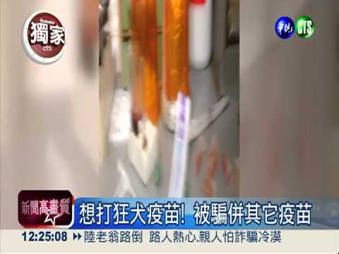 帶寵物防狂犬 被騙打"成套"疫苗!