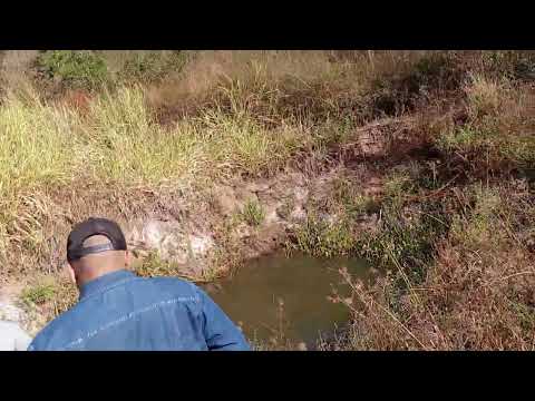 Notícias Serra da Caiçara Maravilha Al 