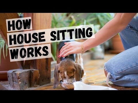 Sitter Jobs