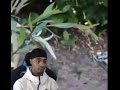 Flight Laugh