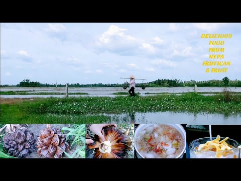 Simple recipe to make 2 delicious dishes from Nypa fruticans/Nypa palm.