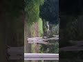 This Is A Big Ass Yard