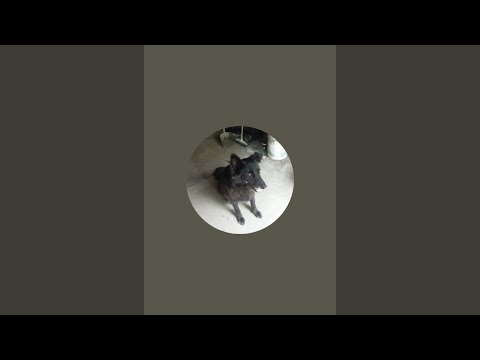 BAILANDO ZUMBA EN PASEO EN TARTAGAL PROVINCIA DE SALTA 2026