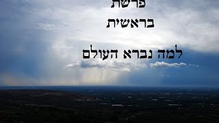 פרשת בראשית – למה נברא העולם?