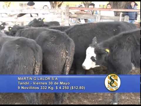 Martin G. Lalor S.A. - Tandil - Palabras Pedro Alonso - 30/05/2014