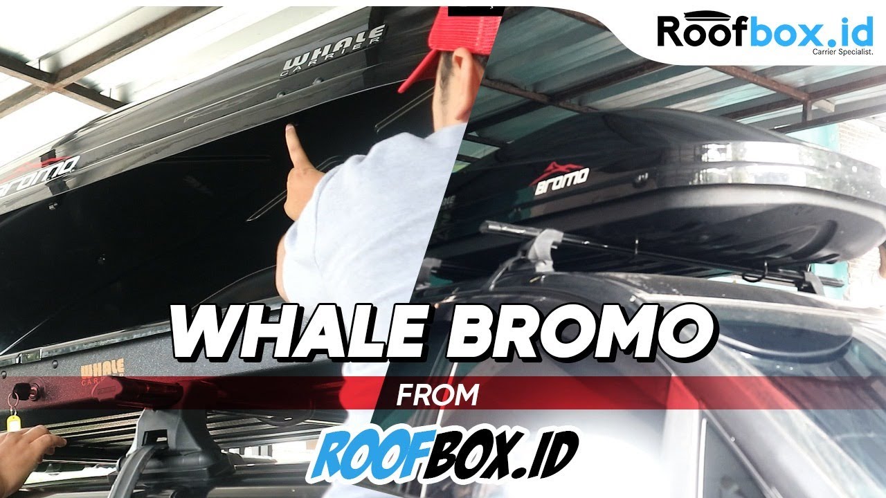 Whale Bromo from Roofbox.id #roofbox