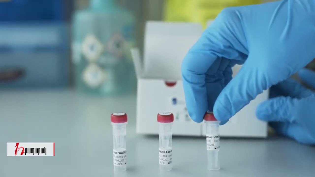 Թորոսյանը բանակցում է Նուբար Աֆեյանի ընկերության հետ՝ պատվաստանյութի համար