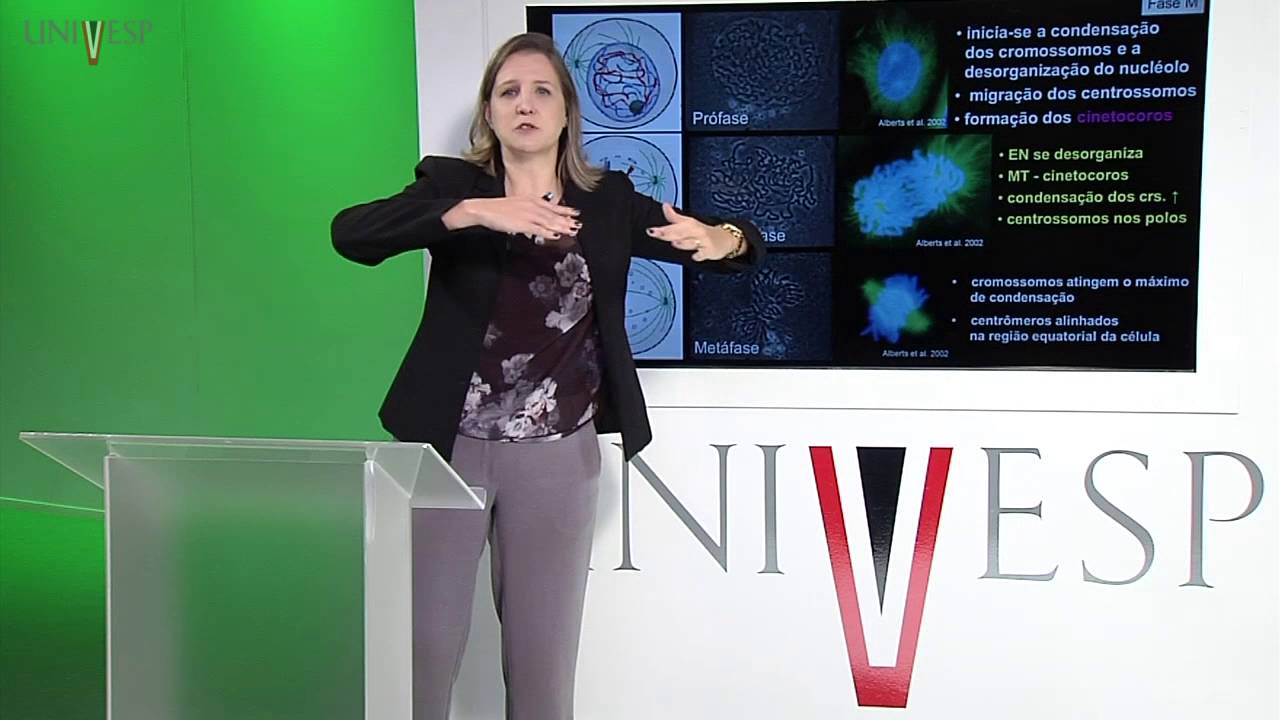 Células e Tecidos - aula 14 - Ciclo celular - caracterização e controle