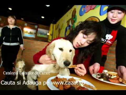 Cazare Pietrisu, Olt - Cazat.ro