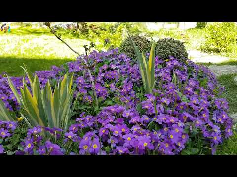 My vegetable and flower garden TOUR | Country life in Bosnia and Herzegovina