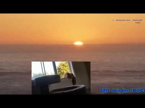 Ep. 428, Oh no!! it's time for UNO!!! Come and play along with the Droplets!! Scuffed Uno!!