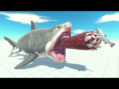 New Unit! Mutant Megalodon Vs Every Unit ARBS | Animal Revolt Battle Simulator