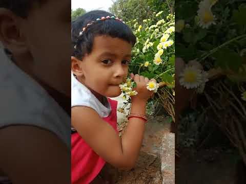 Chitti.. Chitti white chamanthi flowers 🌼🌼🌼🌼🌼🌼🌼🌼🌼🌼🌼❤️