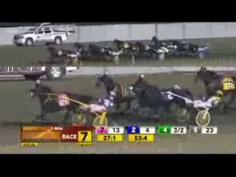 TVG Free For All Pace Final Leg - November 23, 2013 - Foiled Again