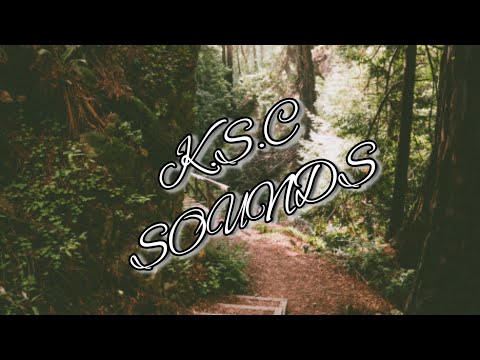 Zebatin - forgive u (Lyrics)